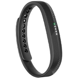 Fitbit Flex 2 Parts