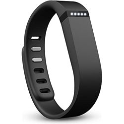 Fitbit Flex Parts