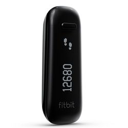 Fitbit One Parts