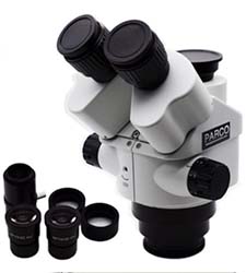 Microscopes & Accessories